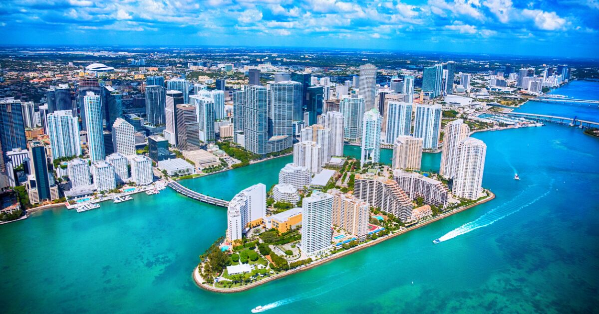 Miami Marina under skyline